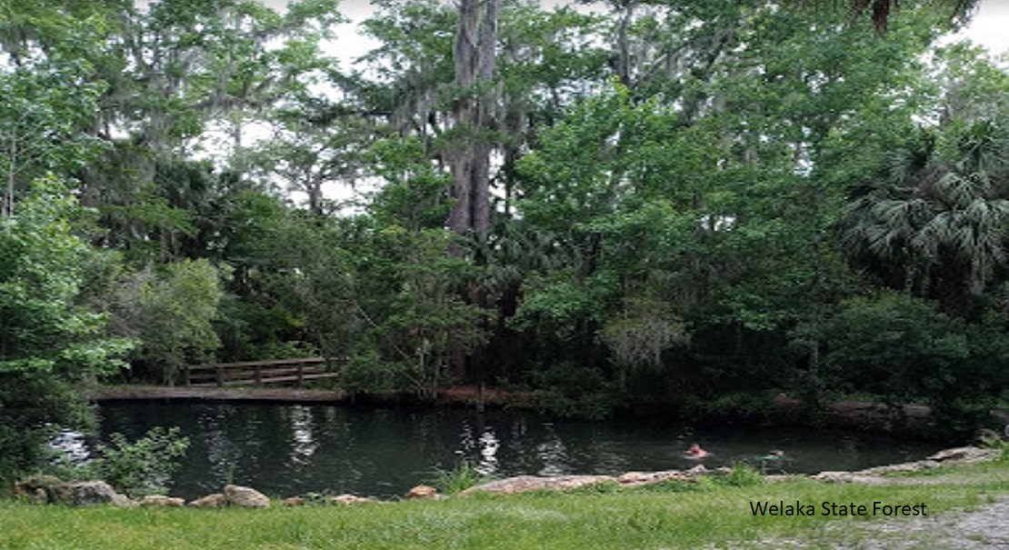 Lot For Sale Interlachen Lakes Estates Msbu Putnam FL 0.220 acres, Camping, Electric